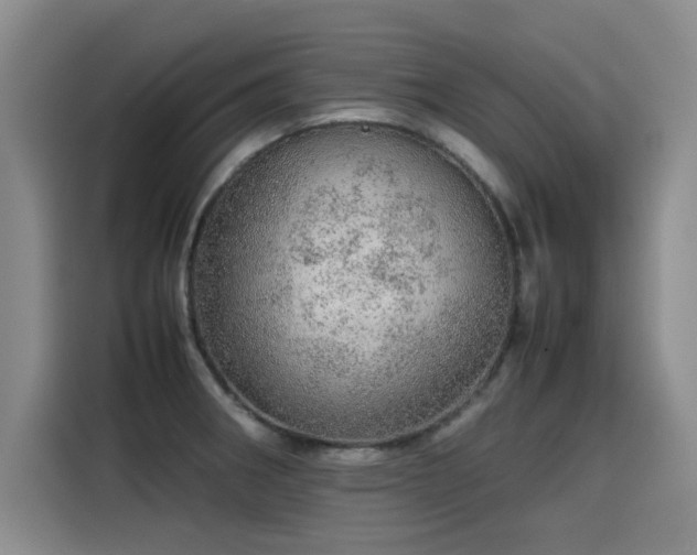 X0000115581282200911171002