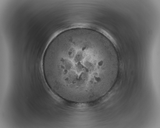 X0000115581283200911171002