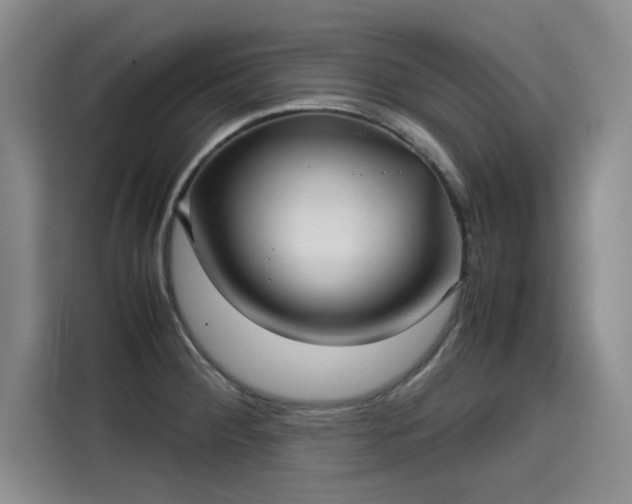 X0000115581284200911171002