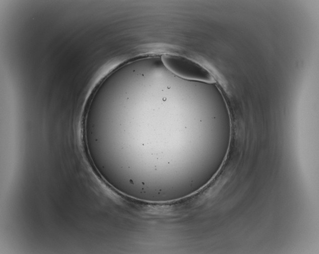 X0000115581285200911171002