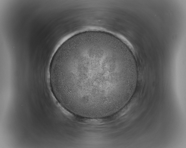 X0000115581287200911171002