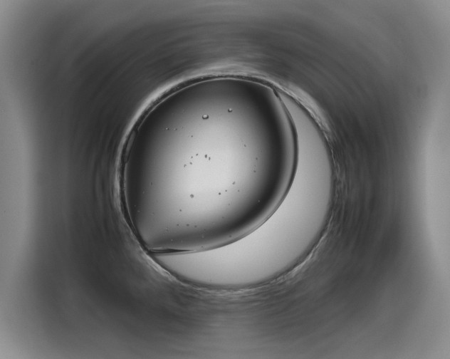 X0000115581288200911171002