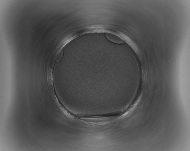 X0000115581289200911171002