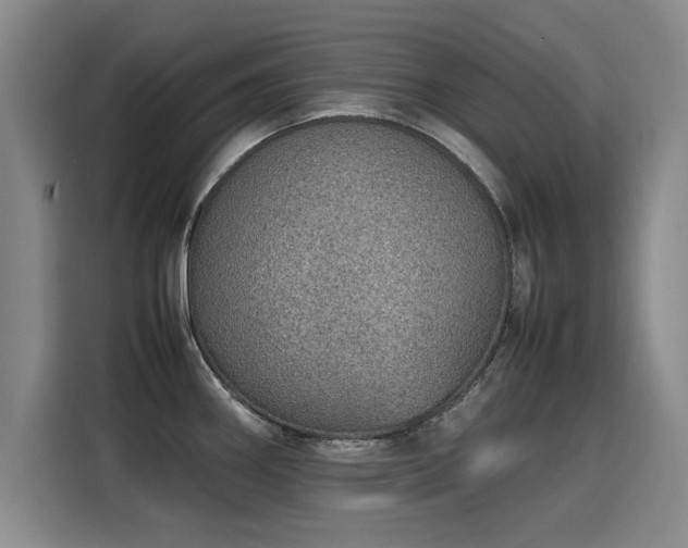 X0000115581290200911171002