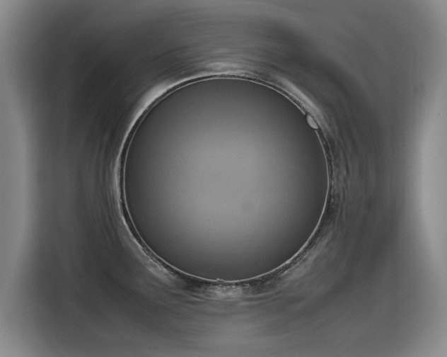 X0000115581291200911171002