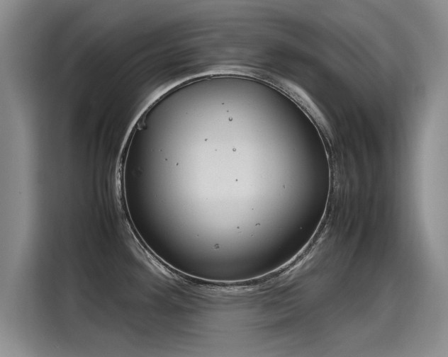 X0000115581292200911171002