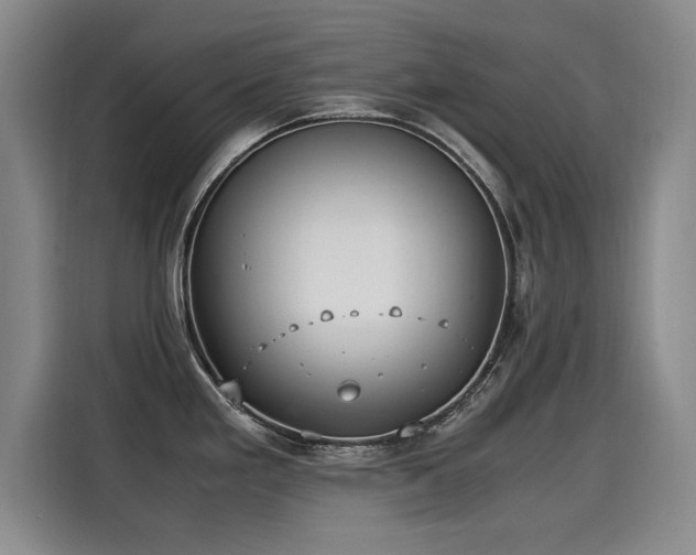 X0000115581293200911171002