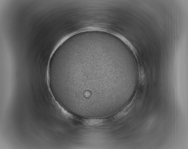 X0000115581294200911171002