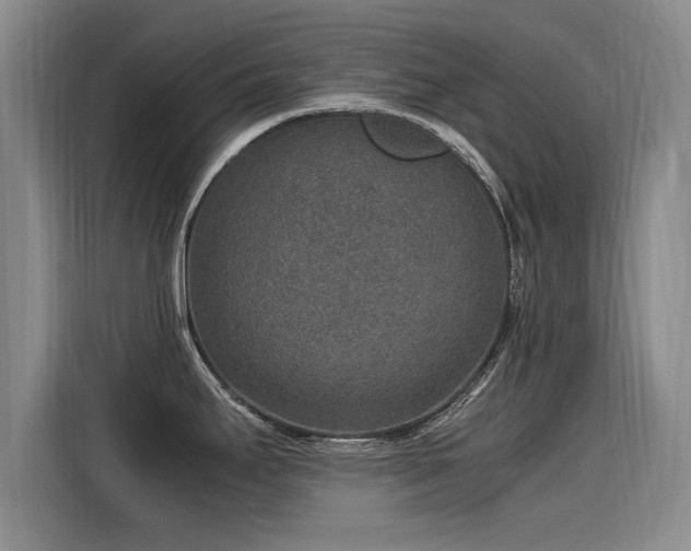 X0000115581295200911171002