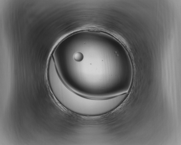 X0000115581296200911171002