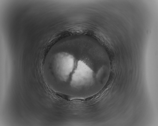 X0000115581297200911171001