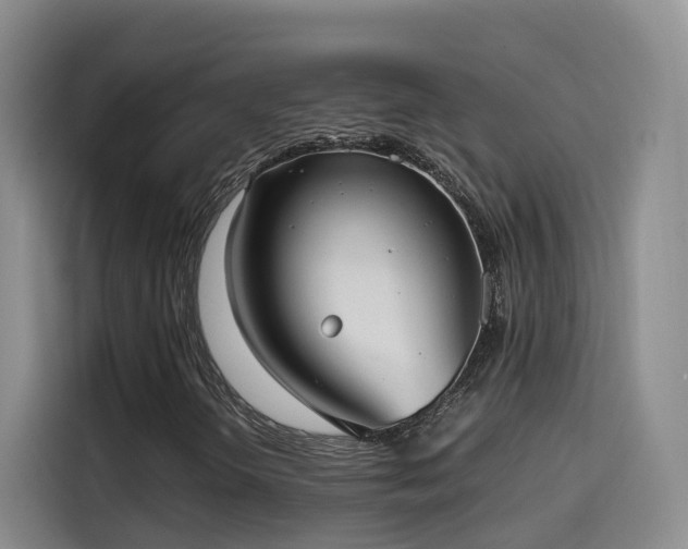 X0000115581298200911171001