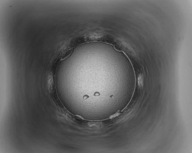 X0000115581299200911171001