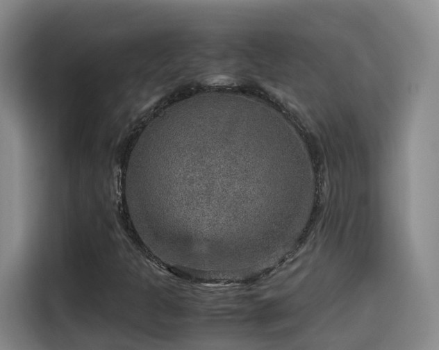 X0000115581301200911171001