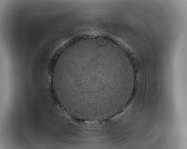 X0000115581302200911171001