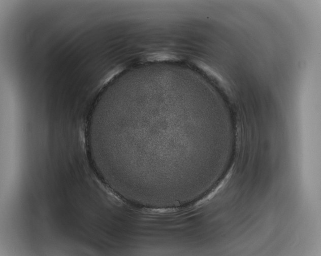 X0000115581305200911171001