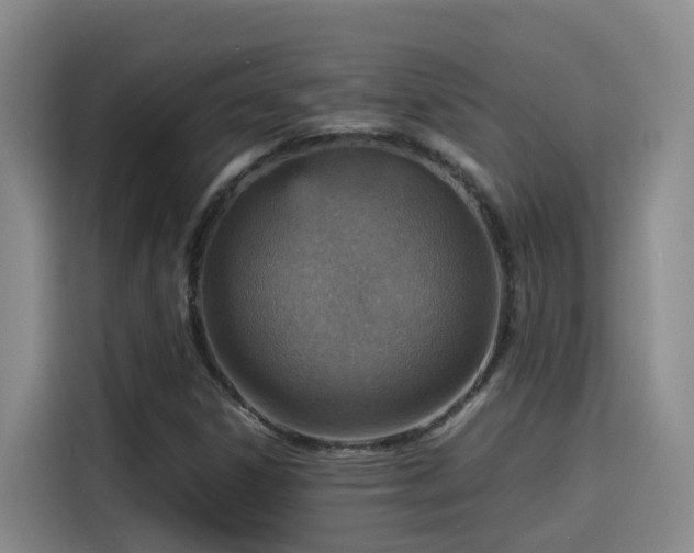 X0000115581306200911171001