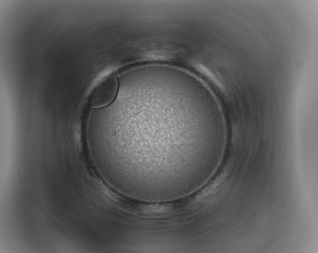 X0000115581307200911171001