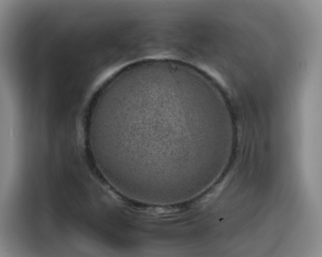 X0000115581311200911171001