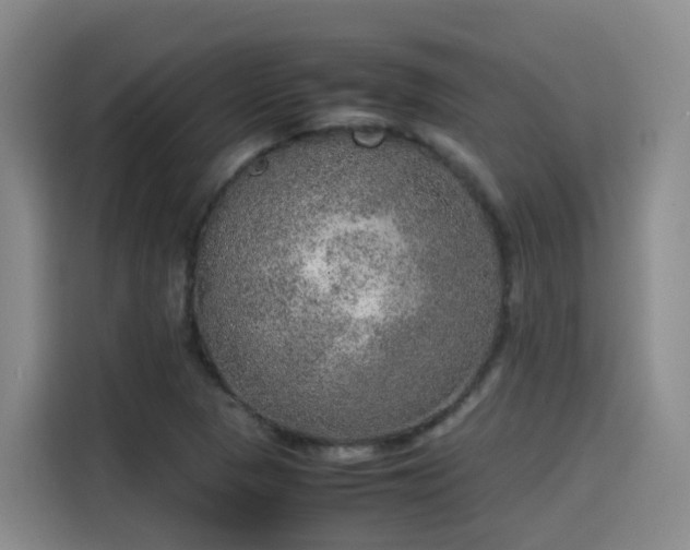 X0000115581313200911171001