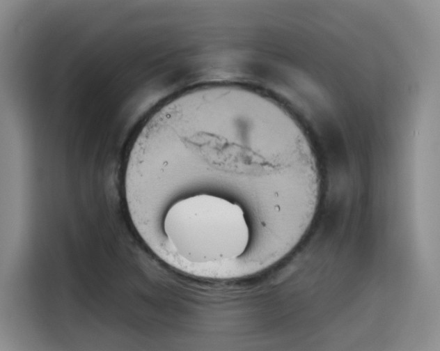 X0000115581314200911171001