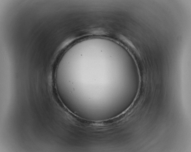 X0000115581315200911171001