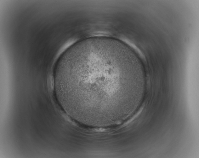 X0000115581317200911171001