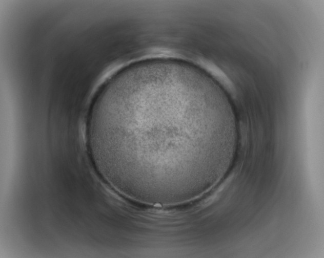 X0000115581318200911171001