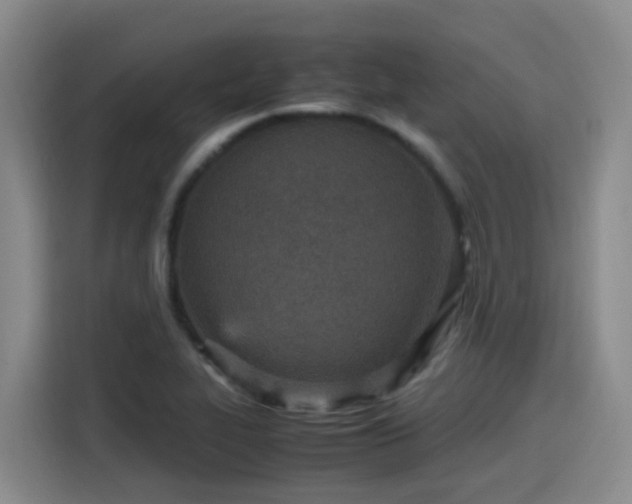 X0000115581319200911171002