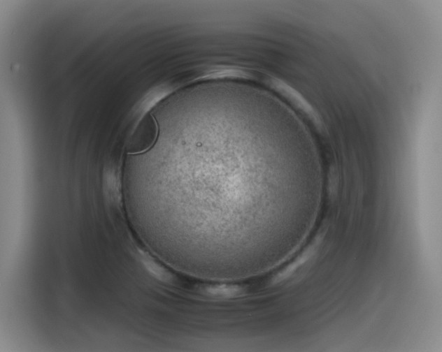 X0000115581321200911171002