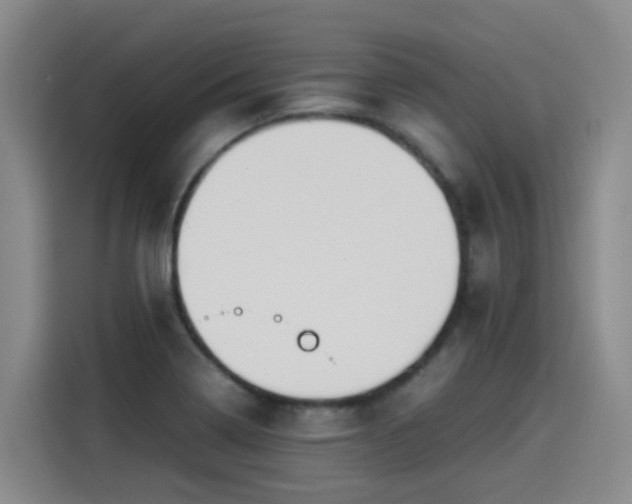 X0000115581322200911171002