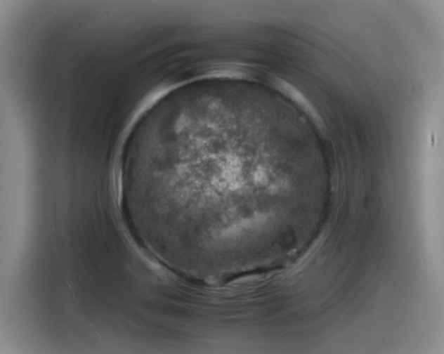 X0000115581323200911171002