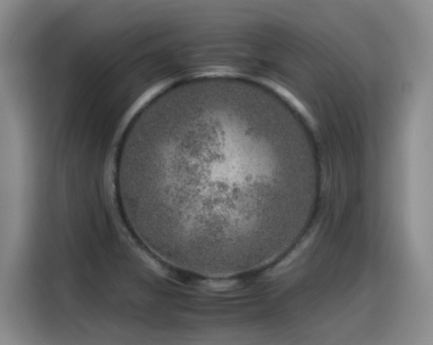 X0000115581325200911171002