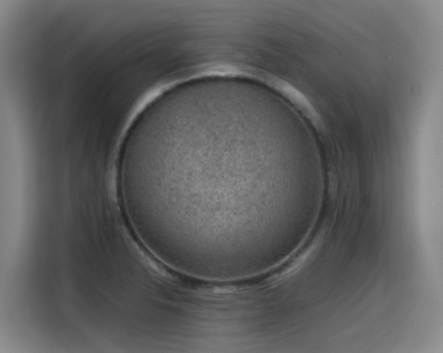 X0000115581326200911171002