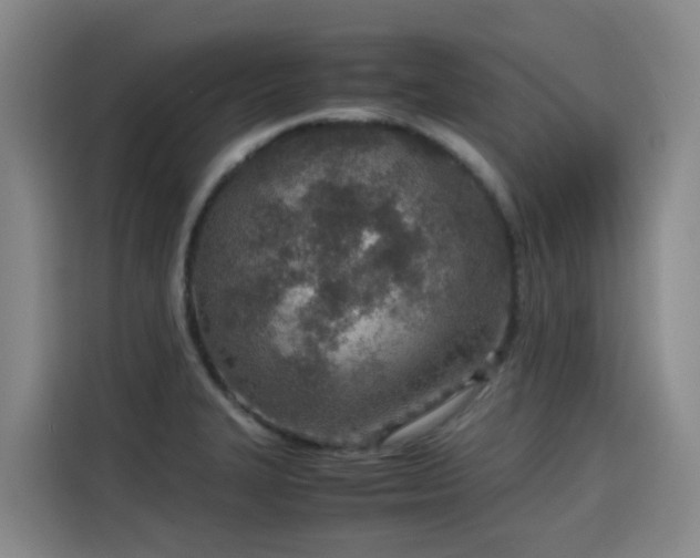 X0000115581327200911171002