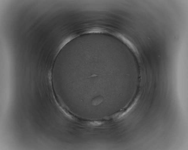 X0000115581329200911171002