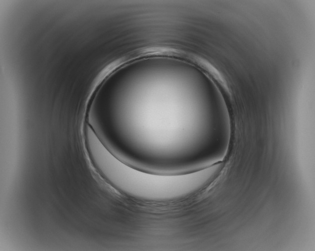 X0000115581330200911171002