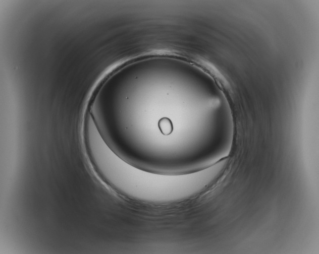 X0000115581331200911171002