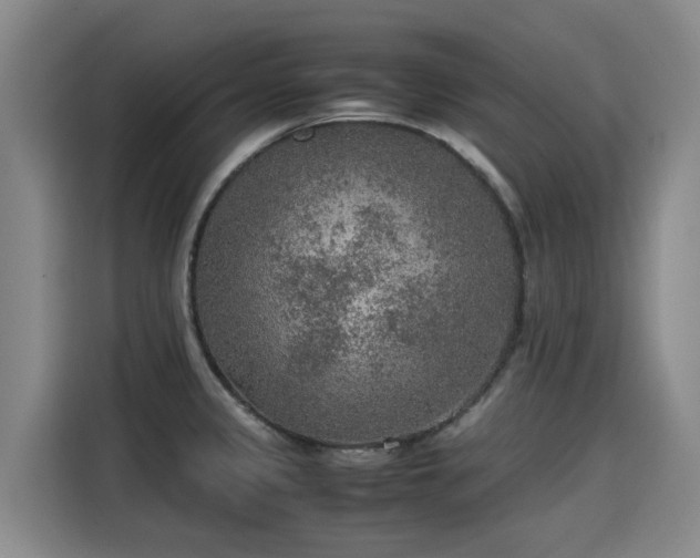 X0000115581333200911171002