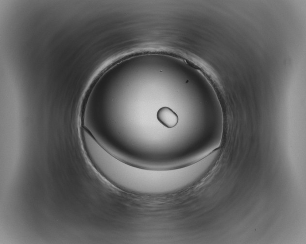 X0000115581334200911171002