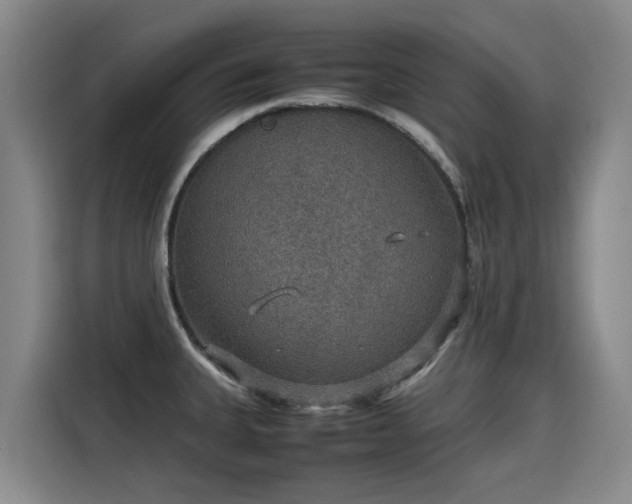 X0000115581335200911171002