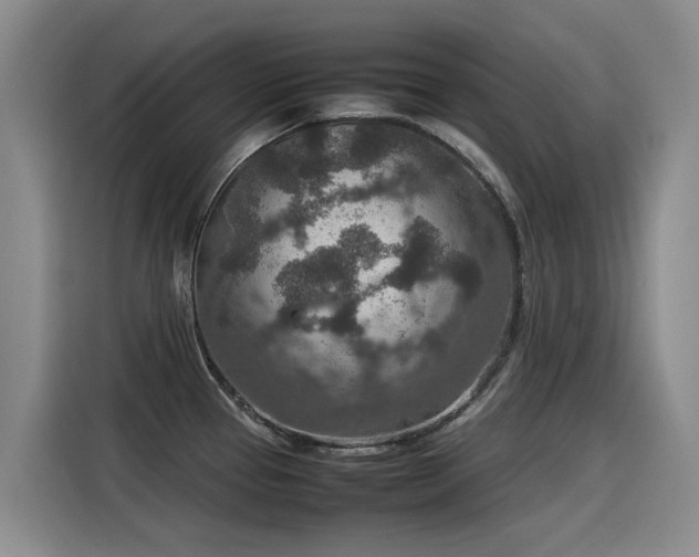 X0000115581337200911171002