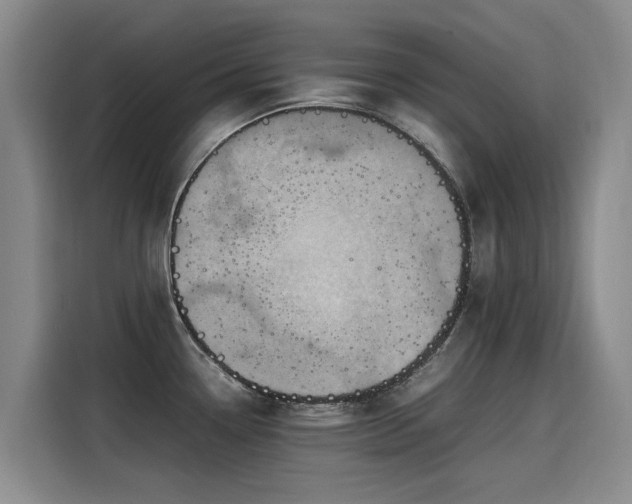 X0000115581338200911171002