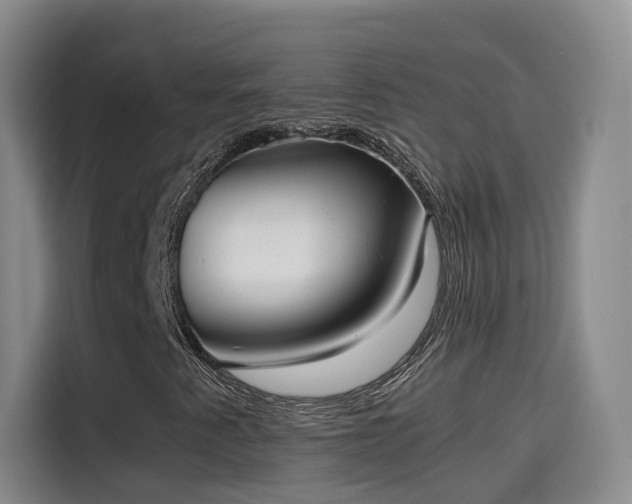 X0000115581345200911171001