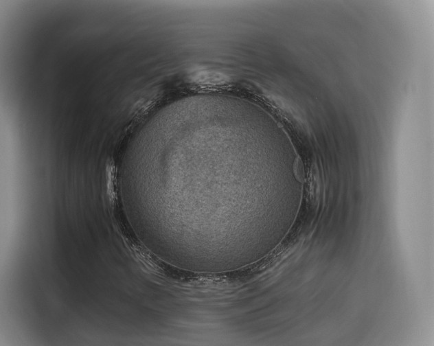 X0000115581346200911171001