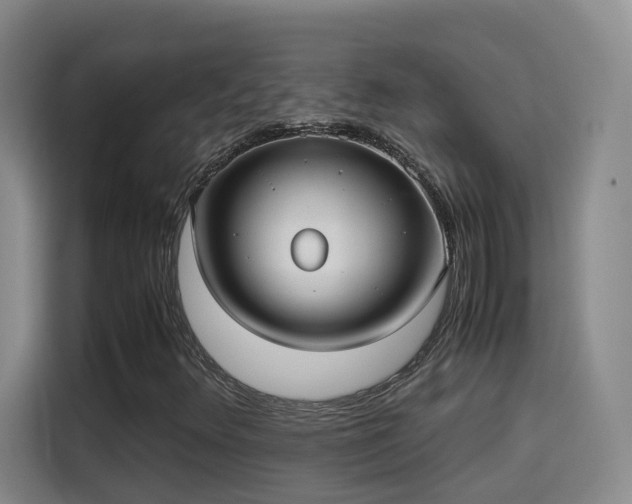 X0000115581348200911171001