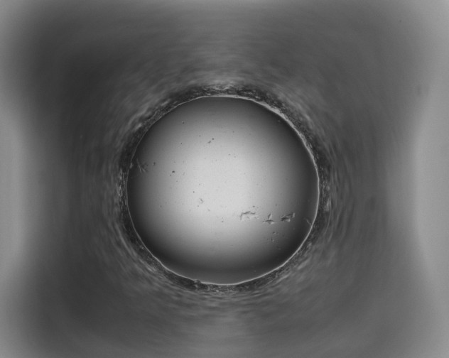 X0000115581349200911171001