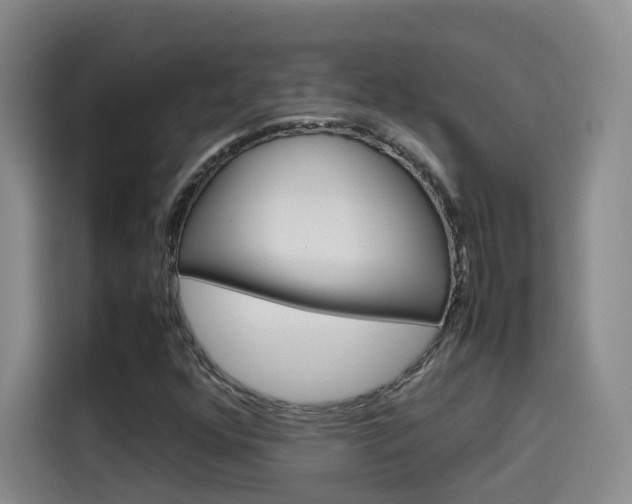 X0000115581352200911171001