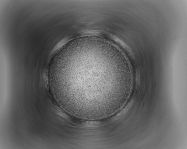 X0000115581354200911171001