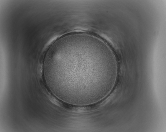 X0000115581355200911171001